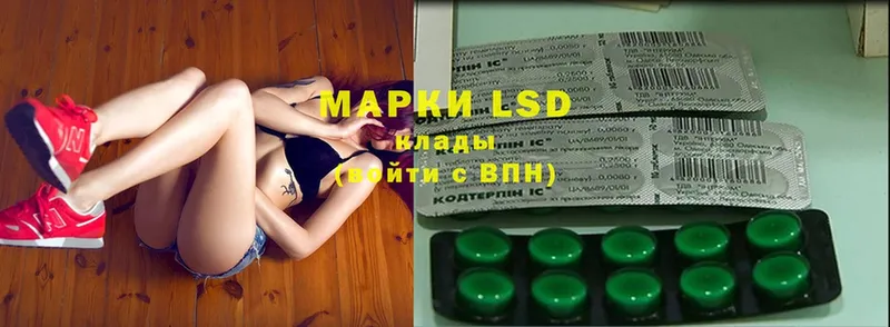 купить наркоту  Каргополь  LSD-25 экстази кислота 